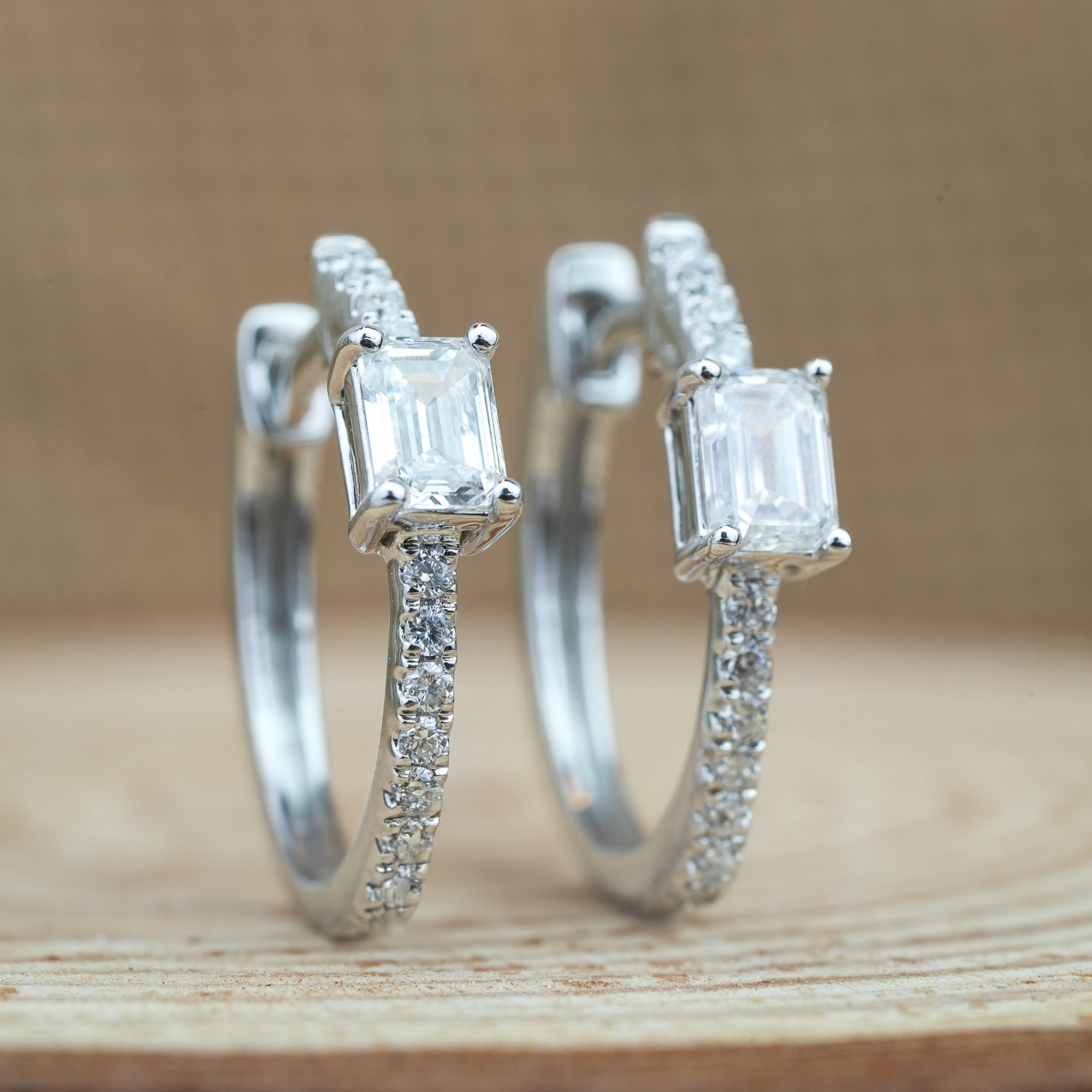 Eternal Elegance Earrings