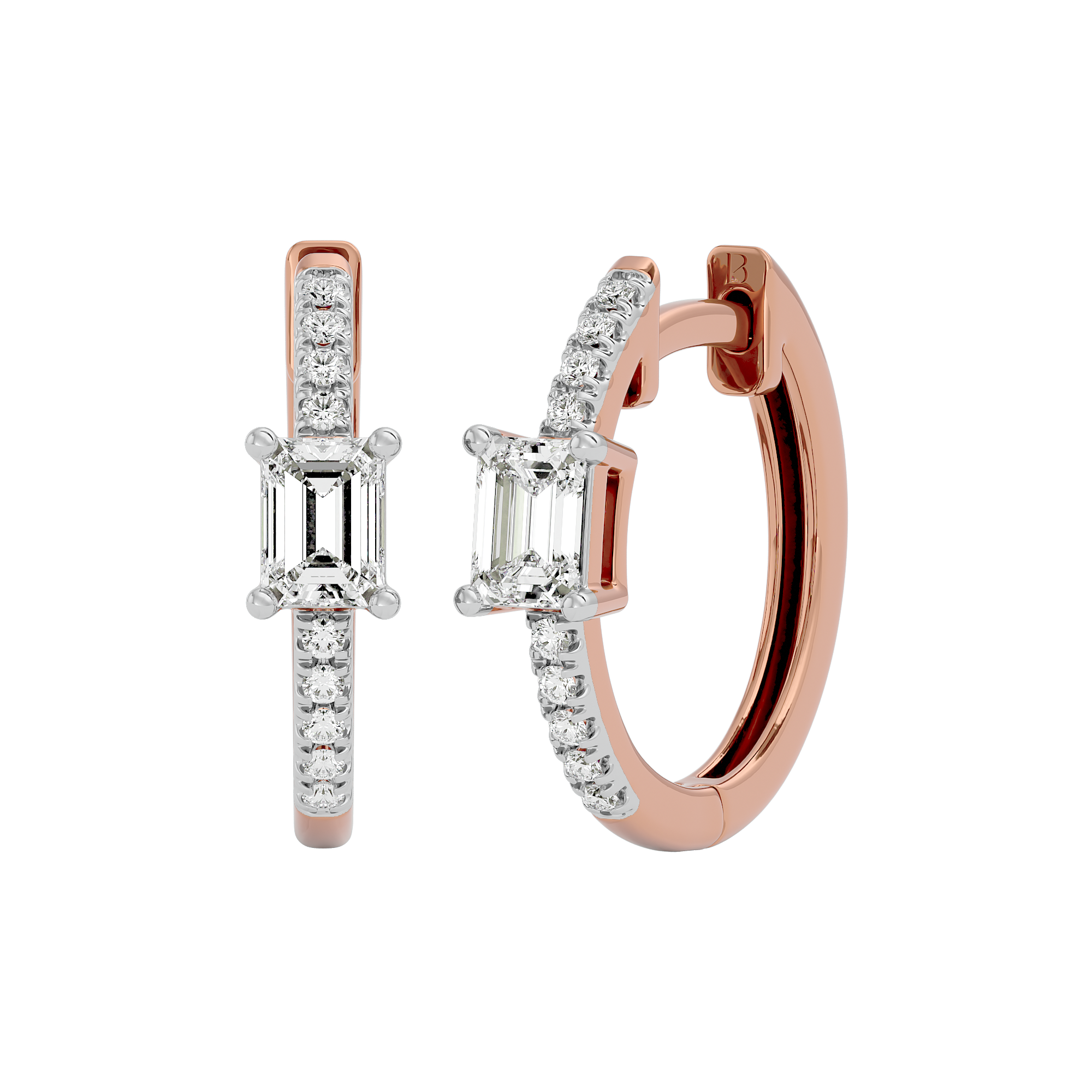 Eternal Elegance Earrings