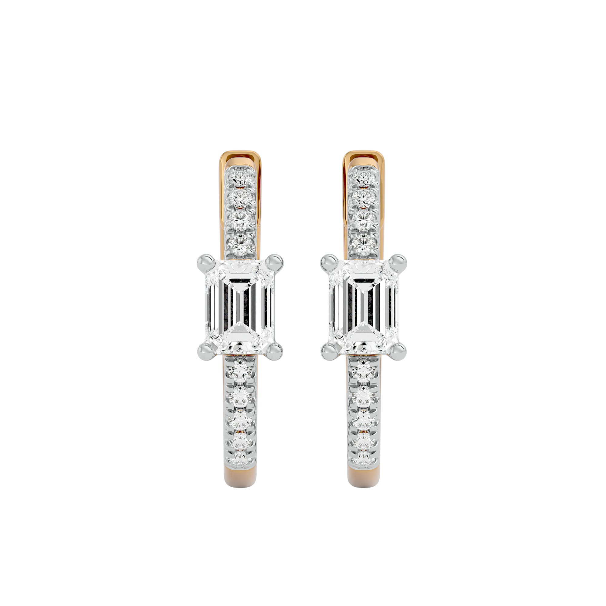 Eternal Elegance Earrings